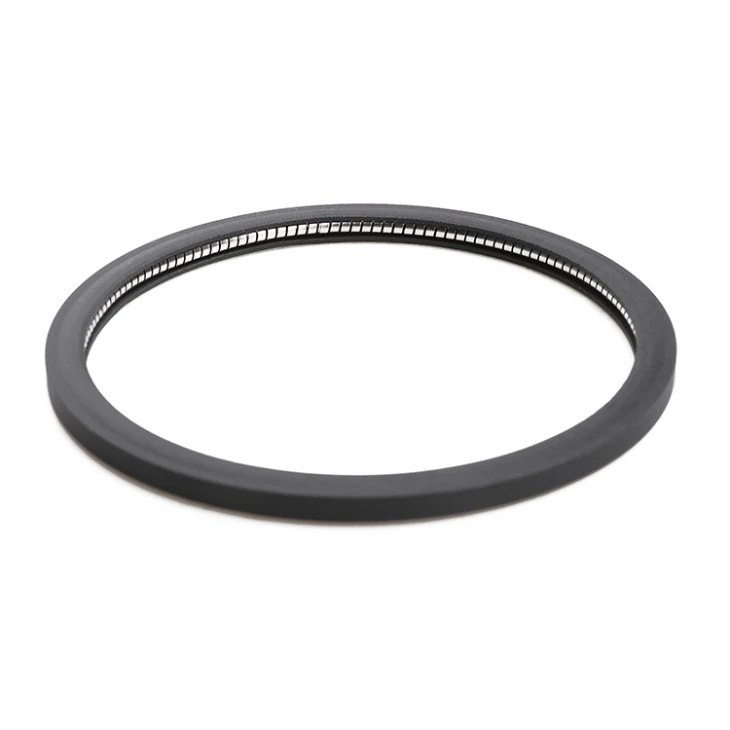 High Pressure Spring Seals For Flange
